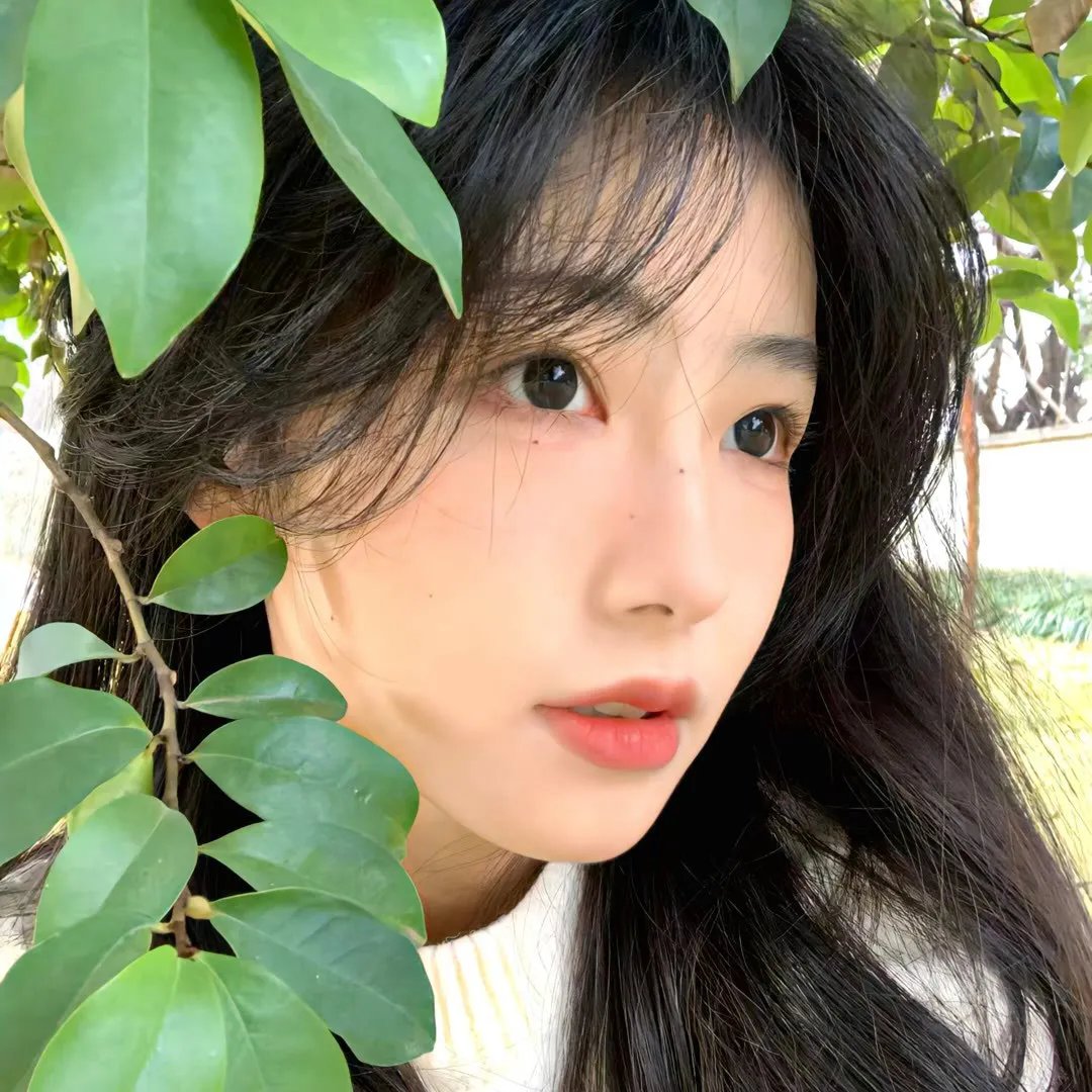 只能爱一个